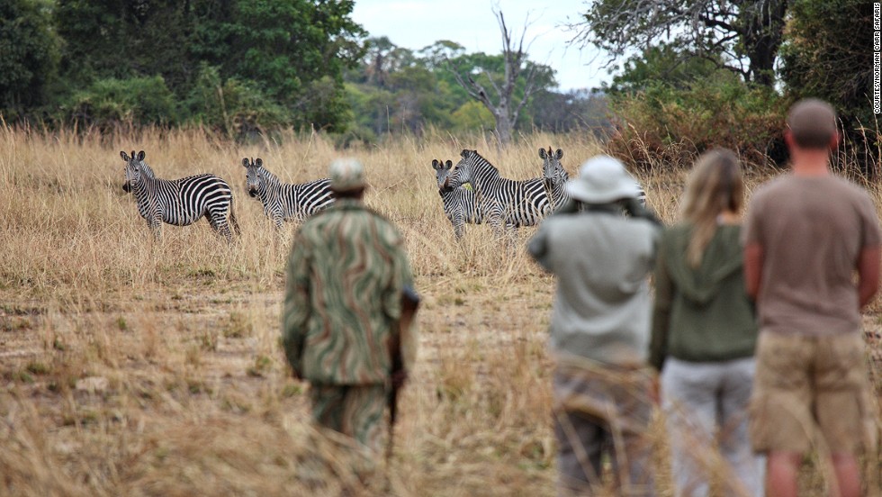 Norman Carr Walking Safari (Замбия)
