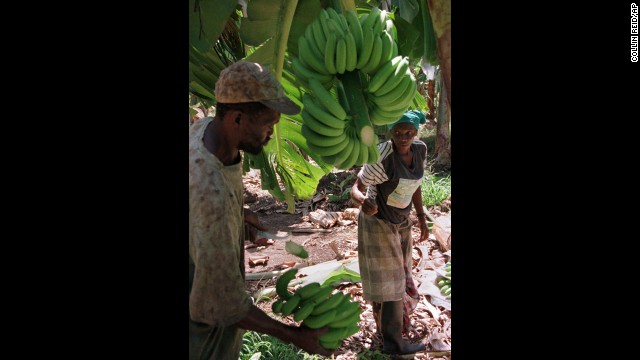 Родина торговли бананами и туризма