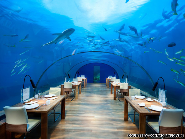 Подводный ресторан «Ithaa Undersea Restaurant» (Мальдивы)